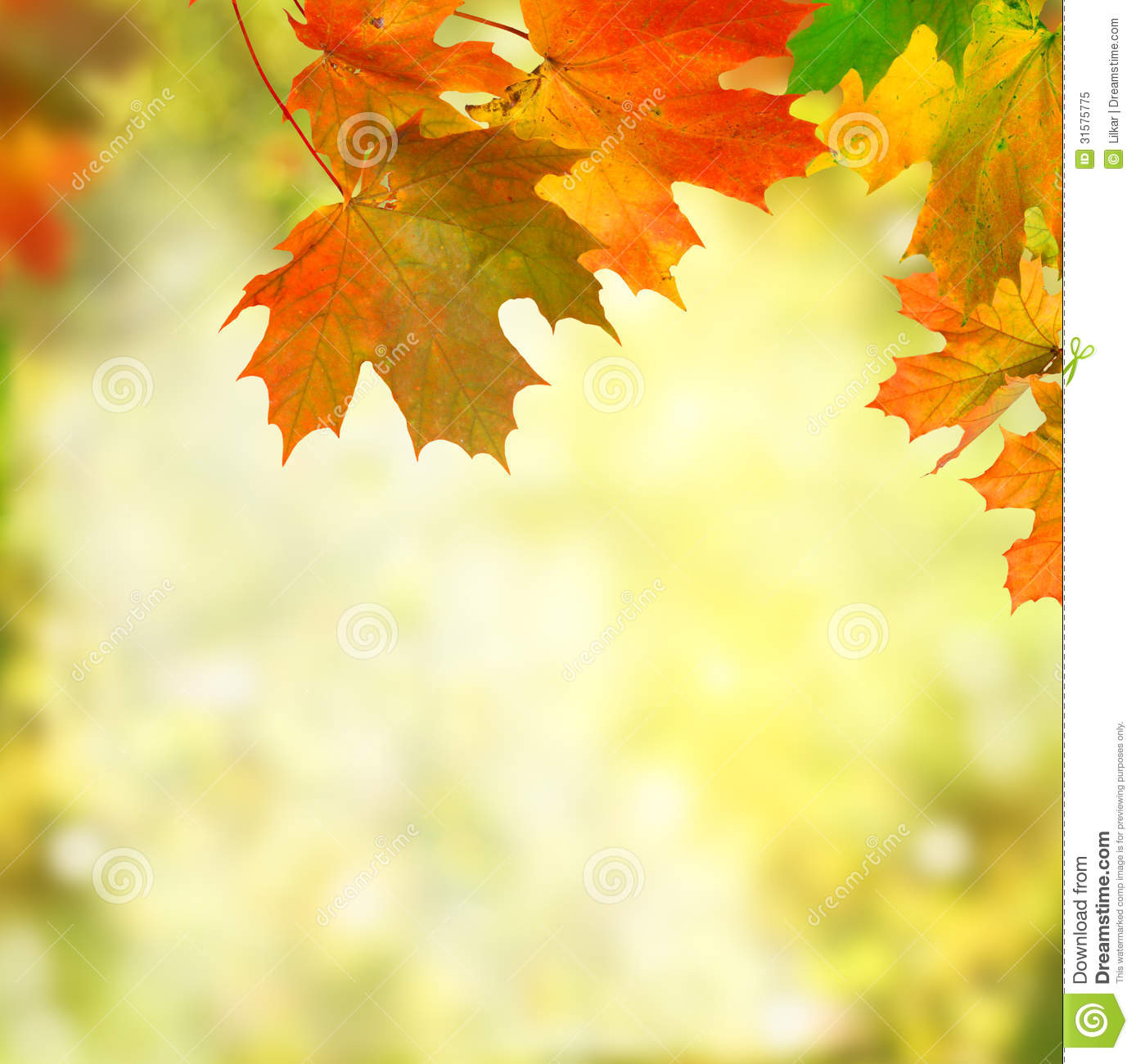 Detail Fall Background Images Free Nomer 27