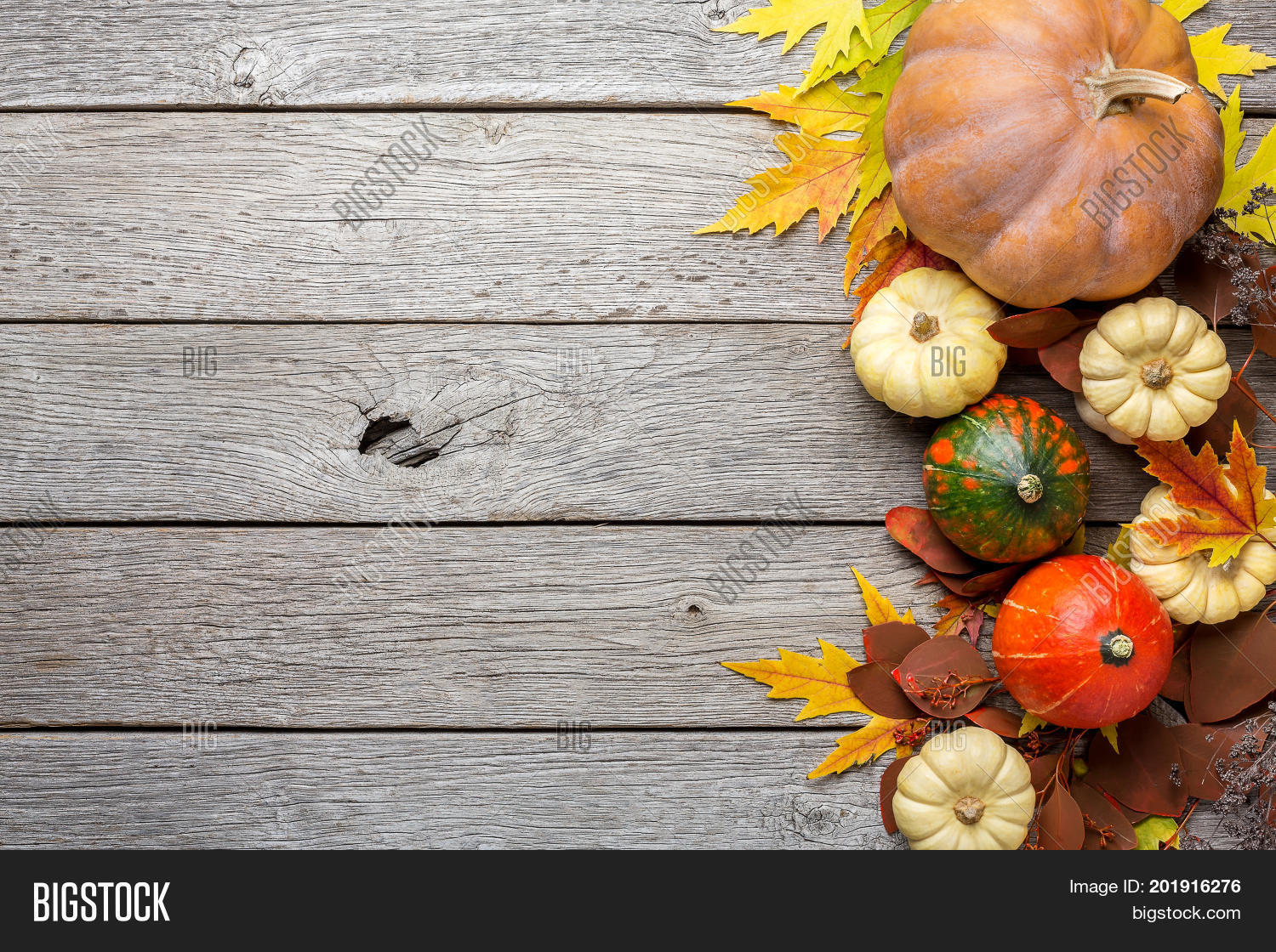 Detail Fall Background Images Free Nomer 40