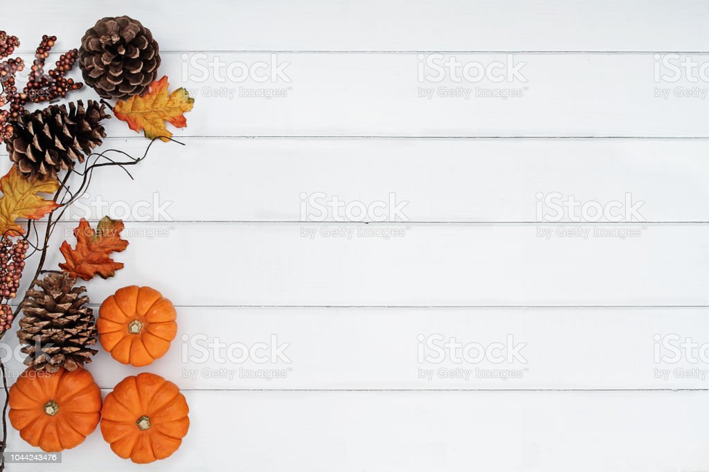 Detail Fall Background Images Free Nomer 45