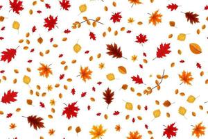Detail Fall Background Images Free Nomer 48
