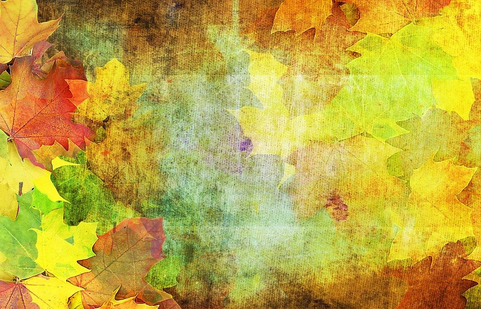 Detail Fall Background Images Free Nomer 50