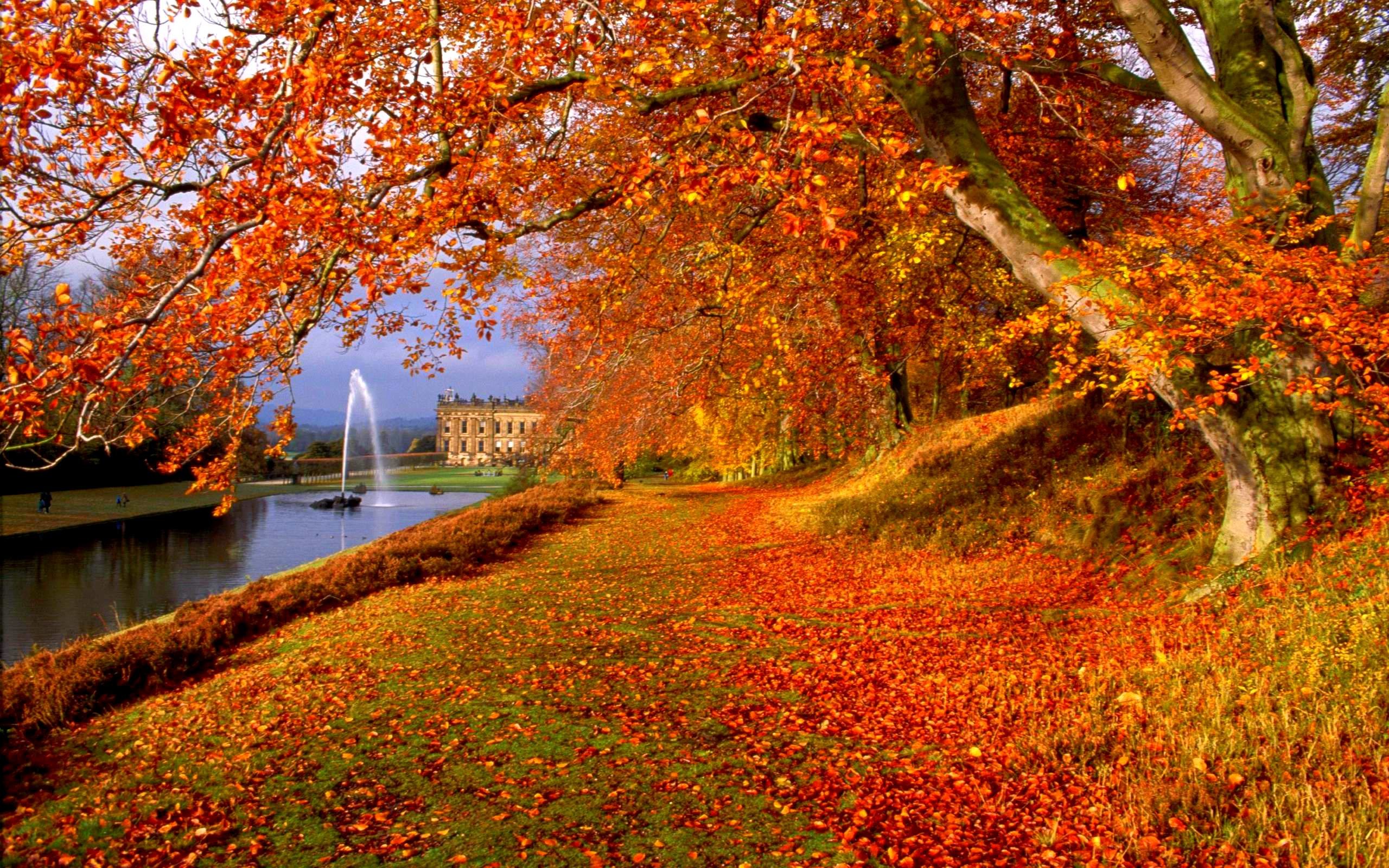 Detail Fall Background Images Free Nomer 54