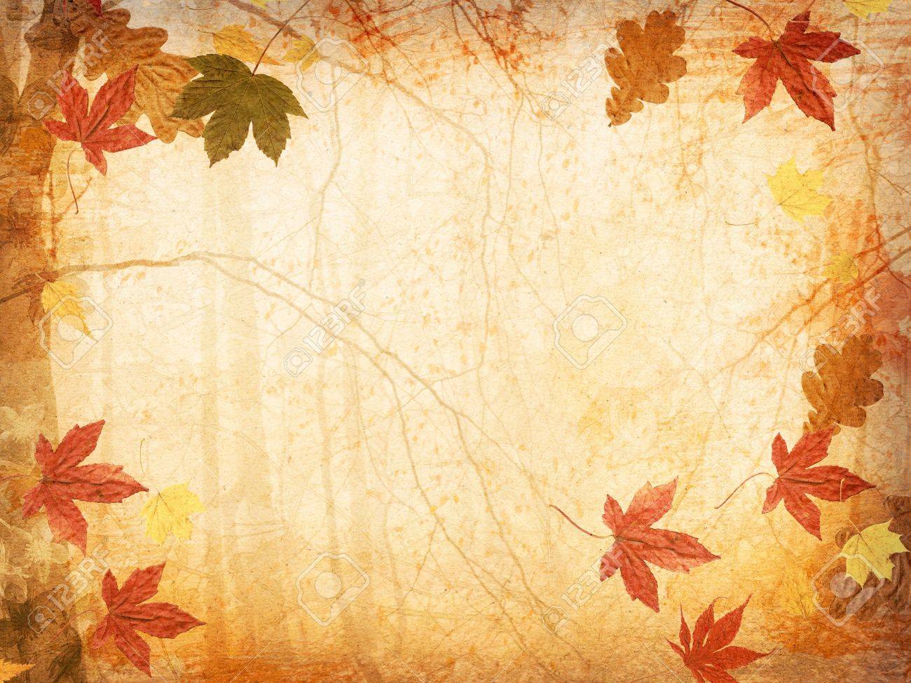Detail Fall Background Images Free Nomer 9