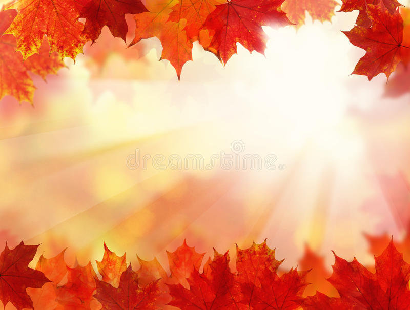 Detail Fall Background Images Free Nomer 10