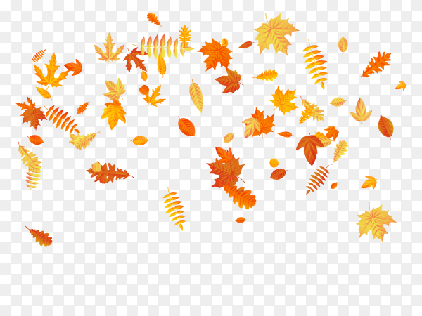 Detail Fall Backgrounds Png Nomer 19