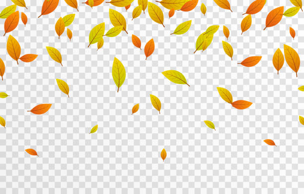 Detail Fall Backgrounds Png Nomer 26