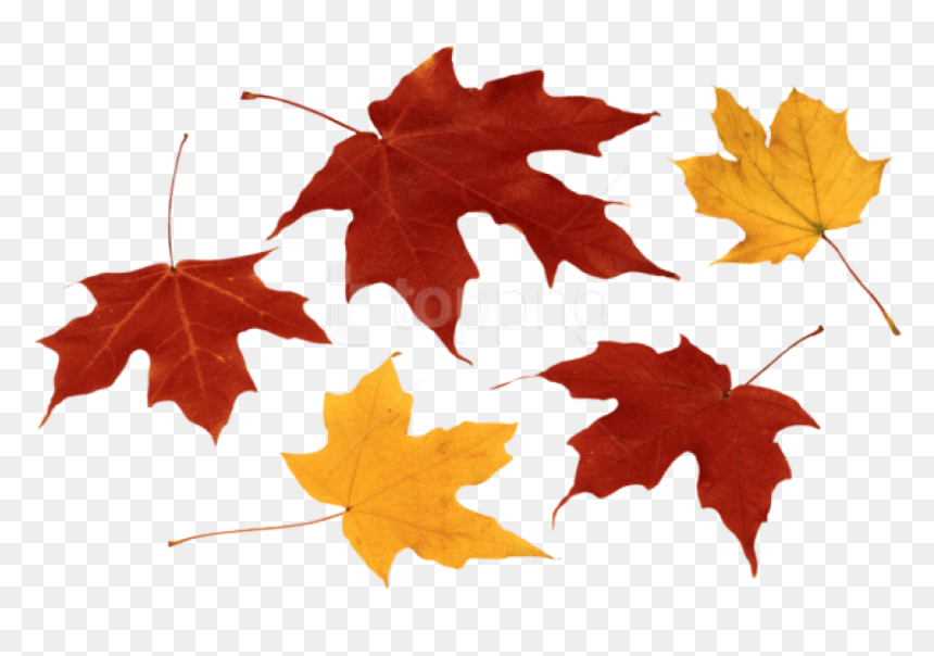 Detail Fall Backgrounds Png Nomer 35