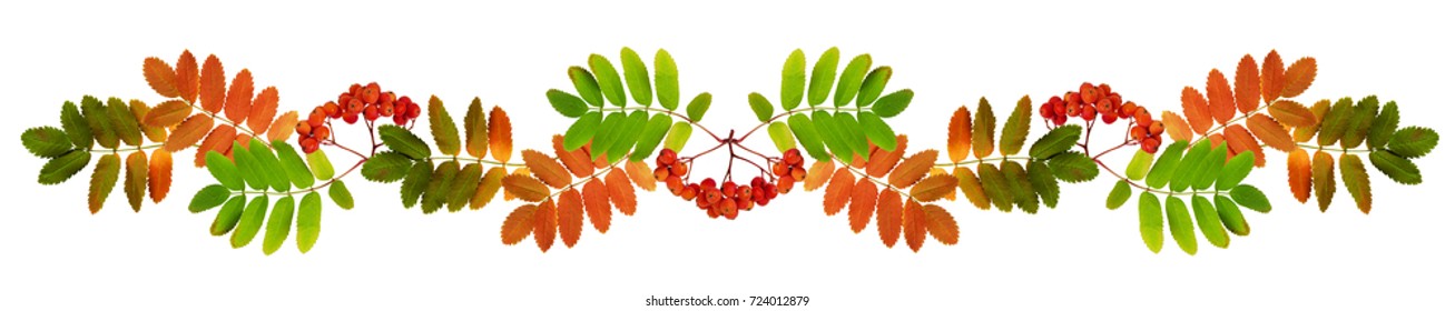 Detail Fall Garland Clipart Nomer 41