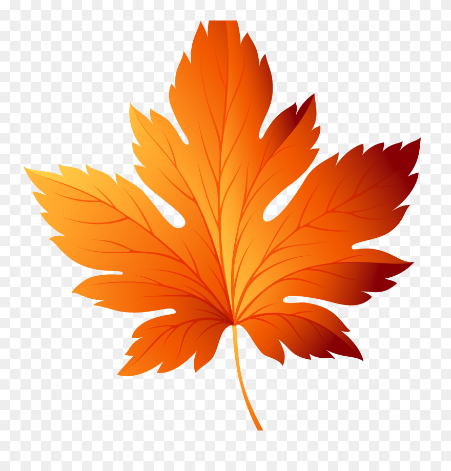 Detail Fall Images Png Nomer 20