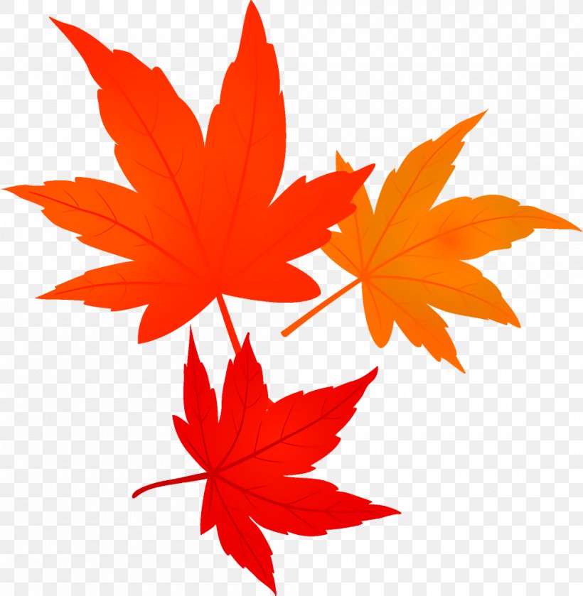 Detail Fall Images Png Nomer 22