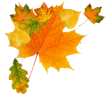 Detail Fall Images Png Nomer 28