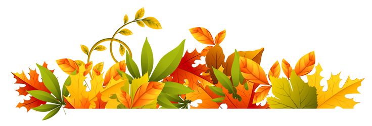 Detail Fall Leaf Banner Clipart Nomer 19