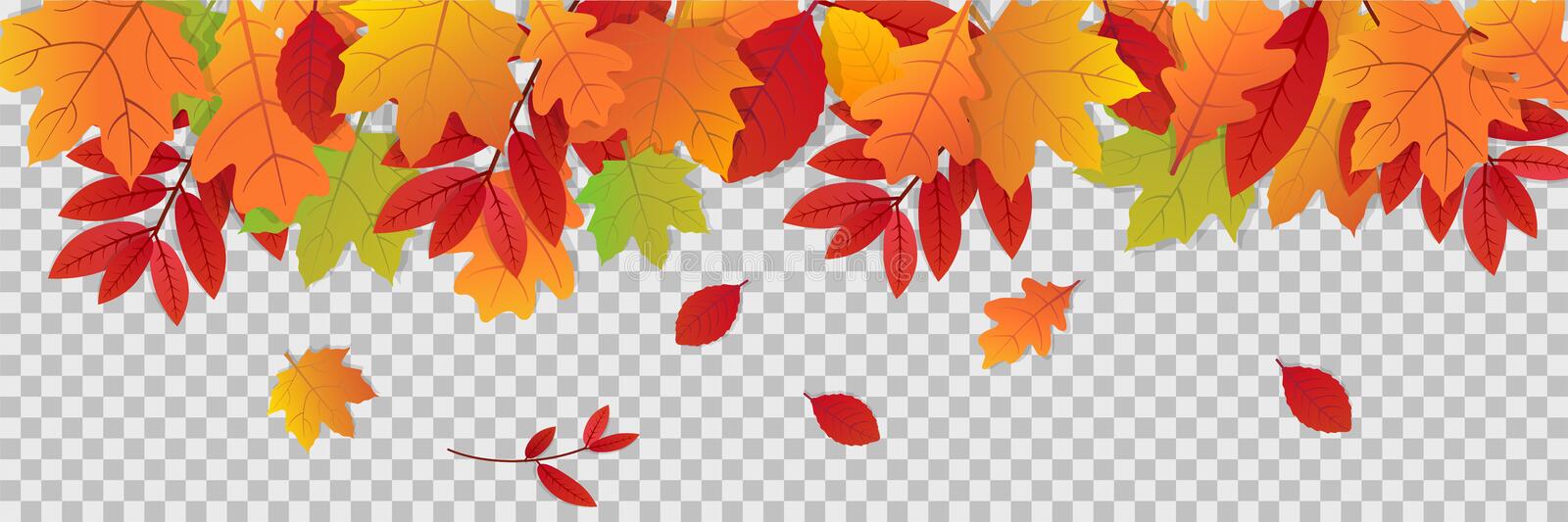 Detail Fall Leaf Banner Clipart Nomer 40