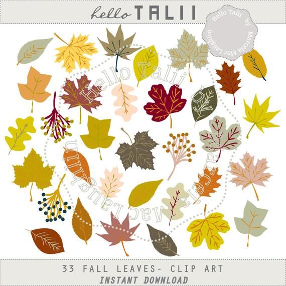 Detail Fall Leaf Garland Clip Art Nomer 39