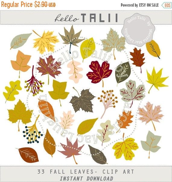 Detail Fall Leaf Garland Clip Art Nomer 50