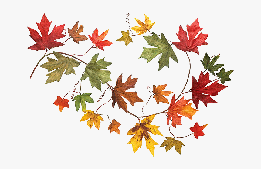 Detail Fall Leaf Garland Clipart Nomer 13