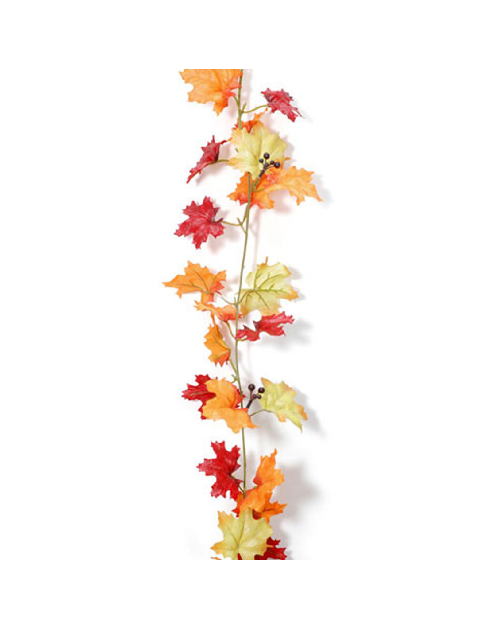 Detail Fall Leaf Garland Clipart Nomer 29