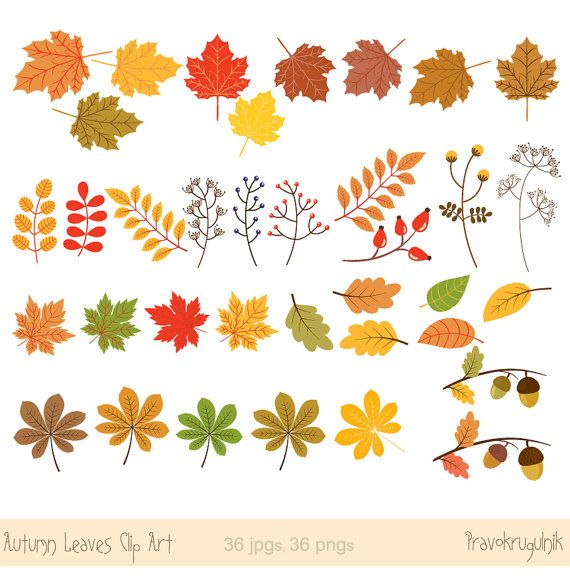Detail Fall Leaf Garland Clipart Nomer 41