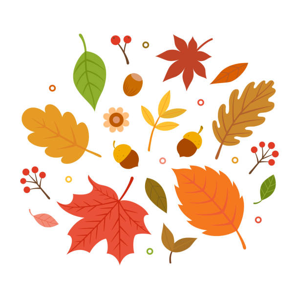 Detail Fall Leaf Garland Clipart Nomer 52