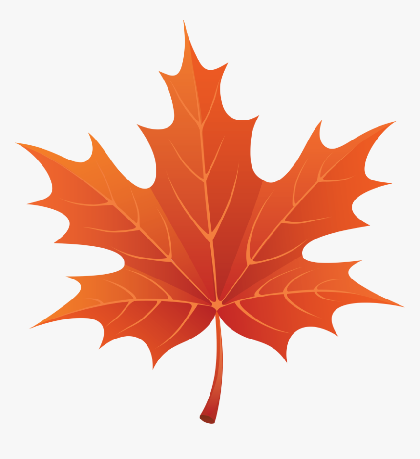 Detail Fall Leaf Png Nomer 4