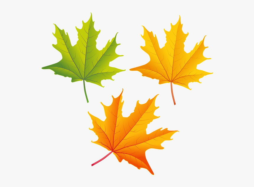 Detail Fall Leaf Png Nomer 7