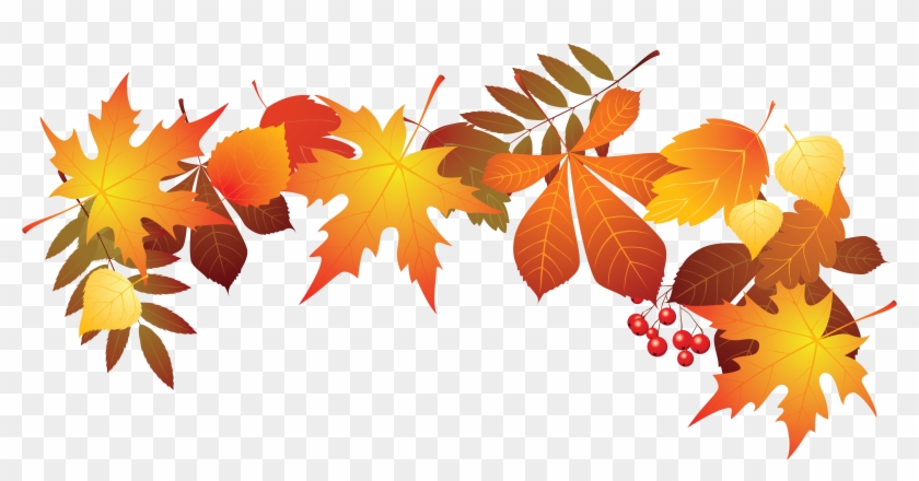 Detail Fall Leaf Transparent Background Nomer 16