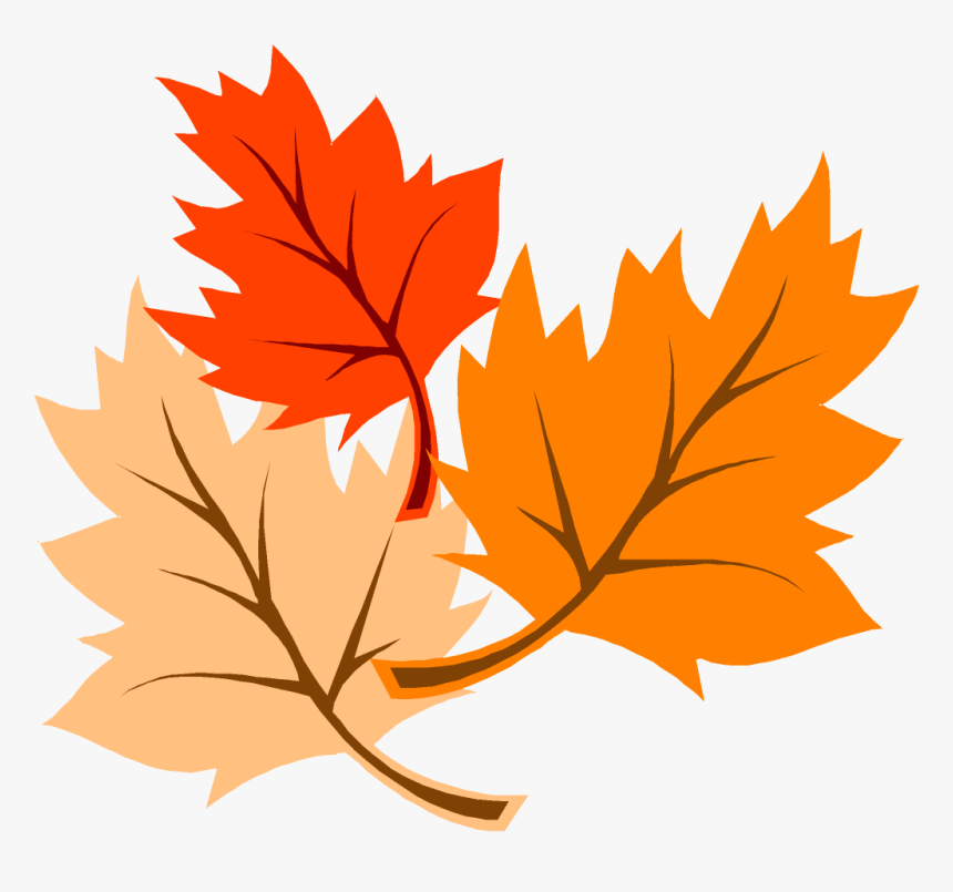 Detail Fall Leaf Transparent Background Nomer 19