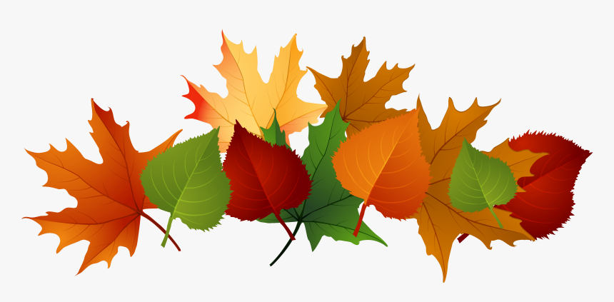 Detail Fall Leaf Transparent Background Nomer 35