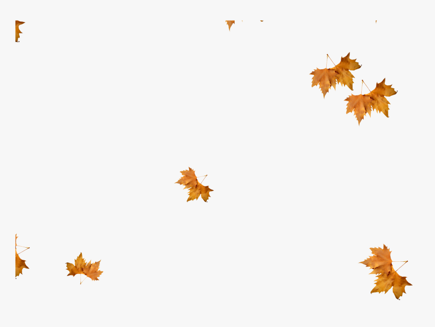 Detail Fall Leaf Transparent Background Nomer 37