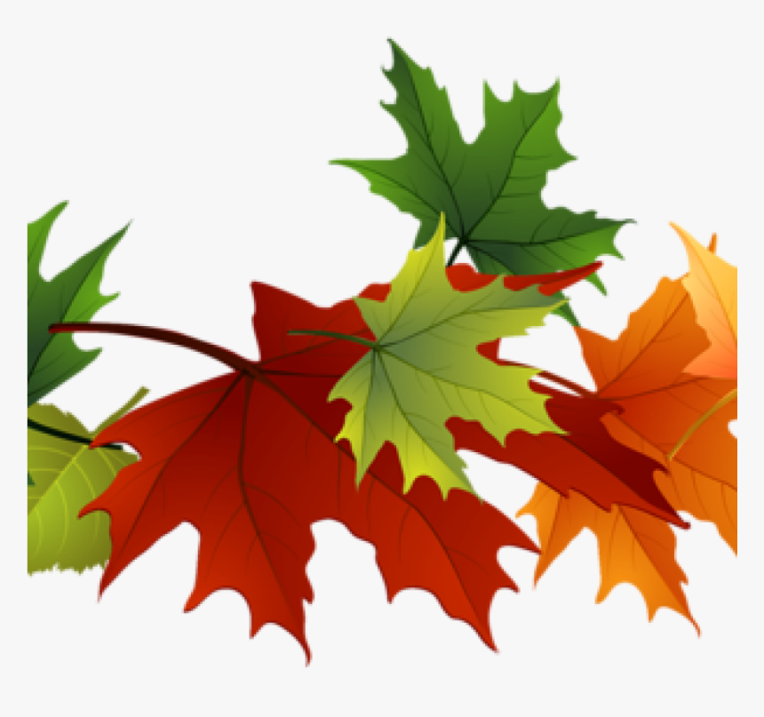 Detail Fall Leaf Transparent Background Nomer 38