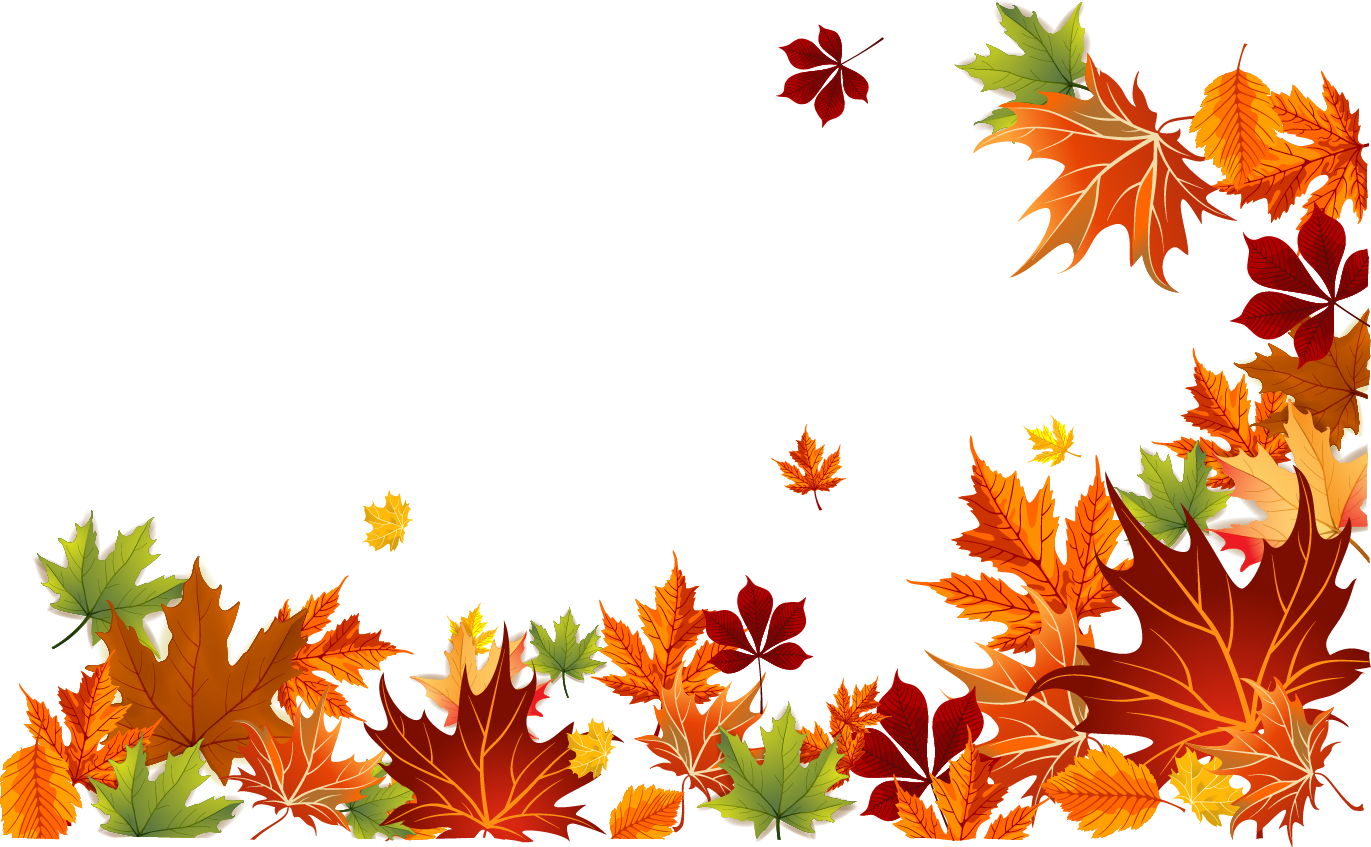 Detail Fall Leaf Transparent Background Nomer 43