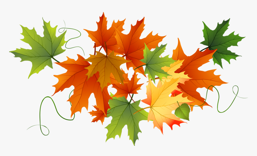 Detail Fall Leaf Transparent Background Nomer 44