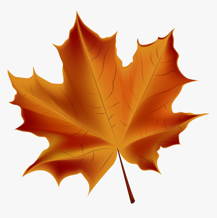 Detail Fall Leaf Transparent Background Nomer 4