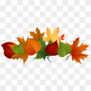 Detail Fall Leaf Transparent Background Nomer 48