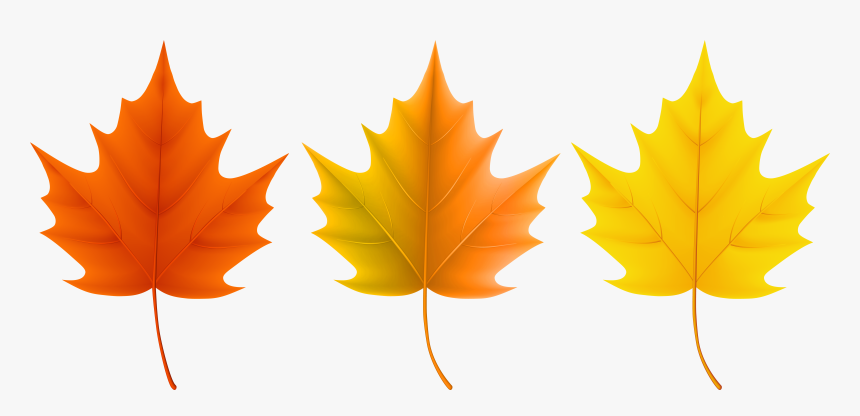 Detail Fall Leaf Transparent Background Nomer 55