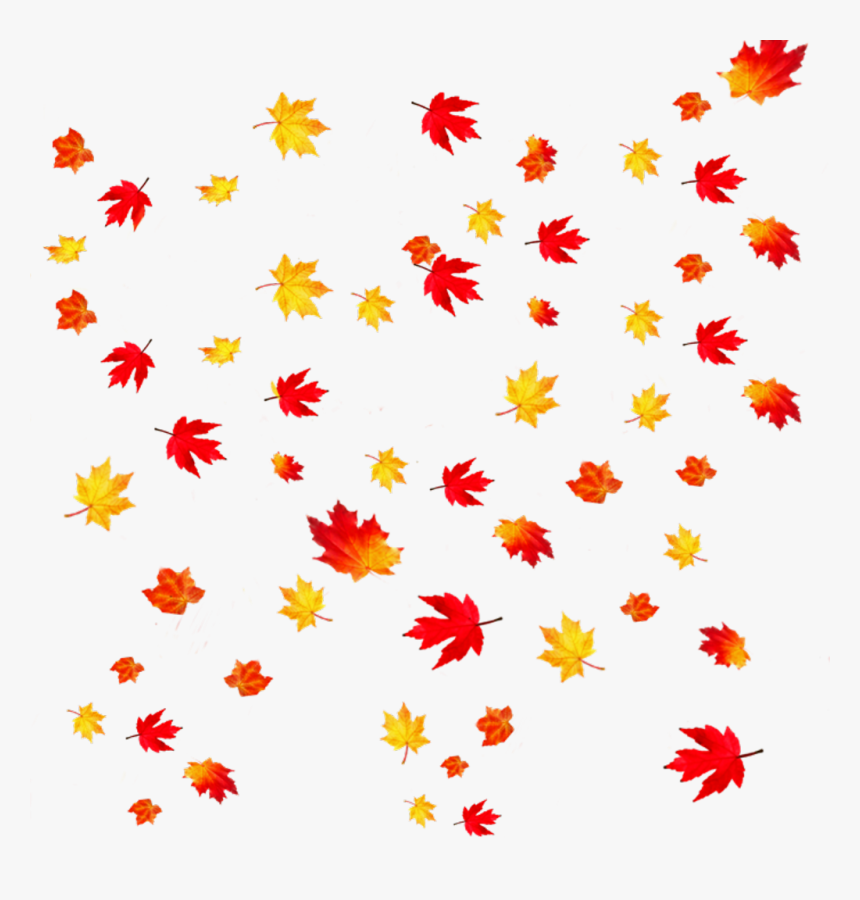 Detail Fall Leaves Background Clipart Nomer 11