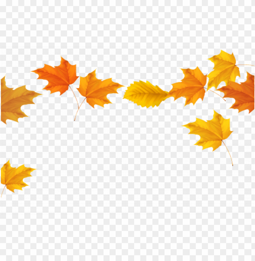 Detail Fall Leaves Background Clipart Nomer 27