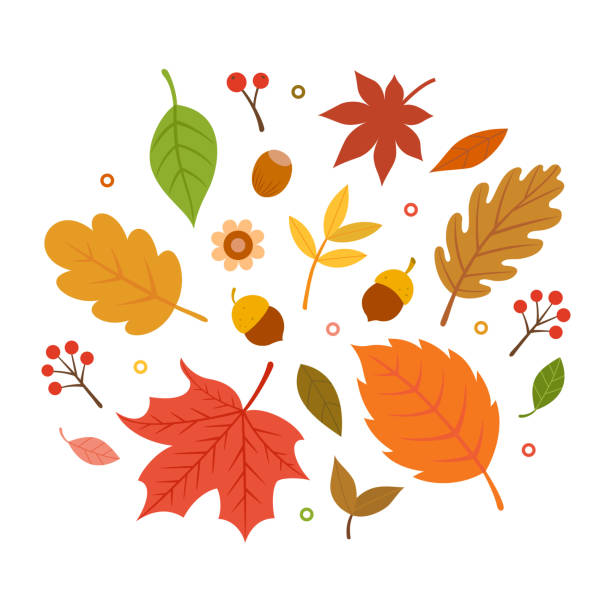 Detail Fall Leaves Background Clipart Nomer 4
