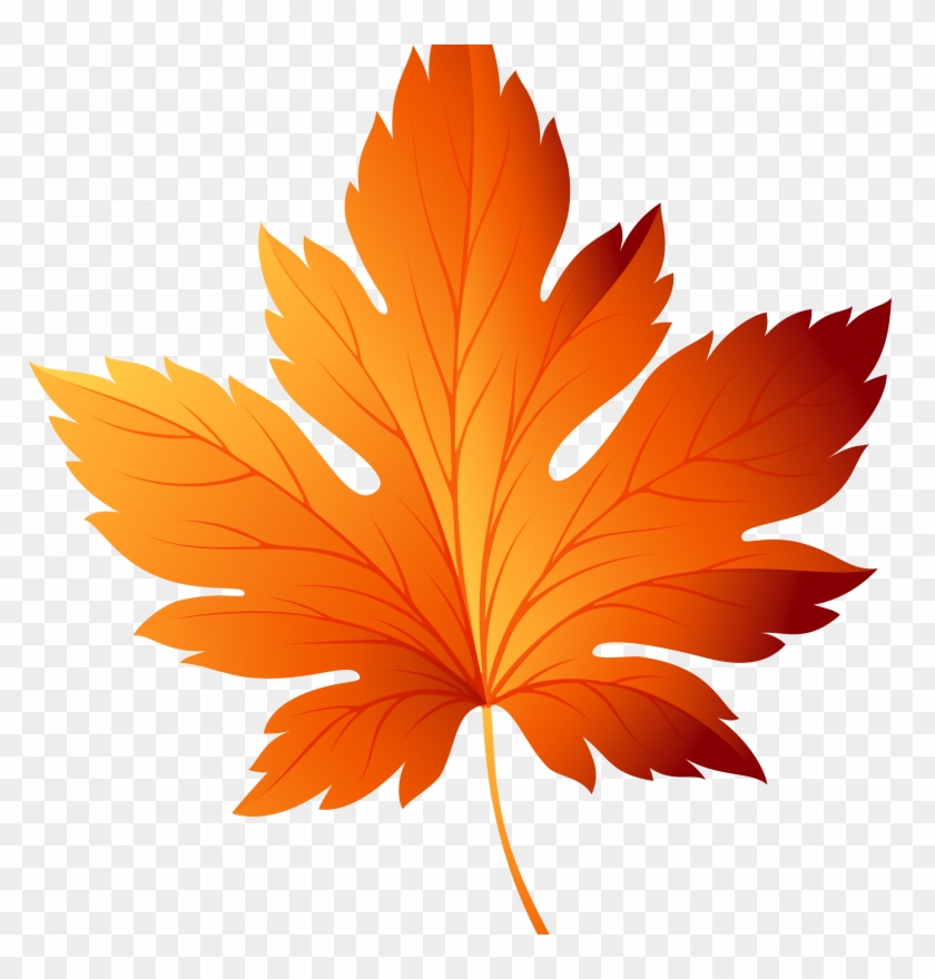 Detail Fall Leaves Background Clipart Nomer 29