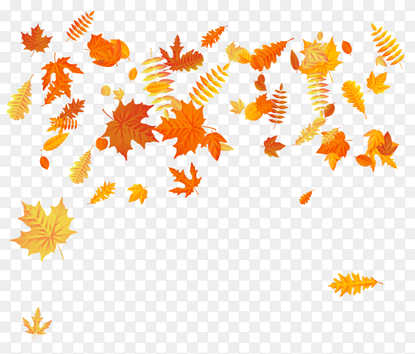 Detail Fall Leaves Background Png Nomer 12