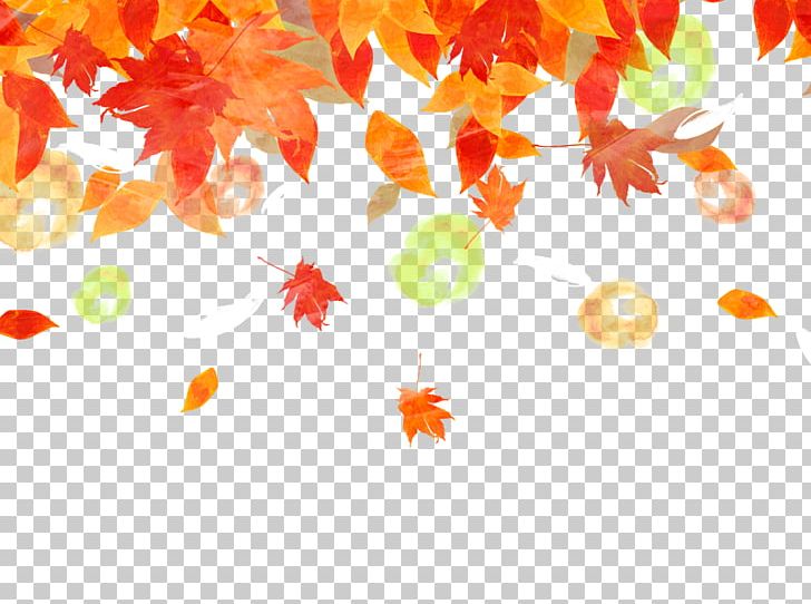 Detail Fall Leaves Background Png Nomer 18