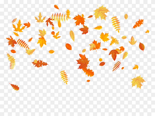 Detail Fall Leaves Background Png Nomer 19
