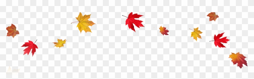 Detail Fall Leaves Background Png Nomer 25