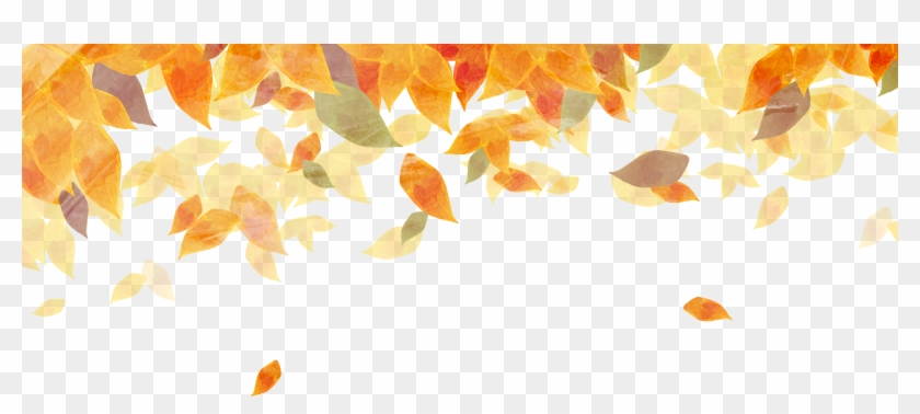 Detail Fall Leaves Background Png Nomer 31