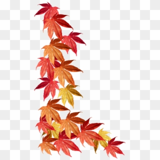 Detail Fall Leaves Background Png Nomer 34
