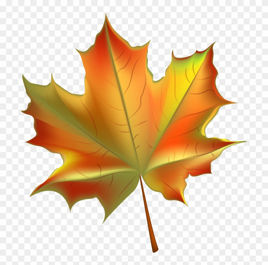 Detail Fall Leaves Background Png Nomer 39