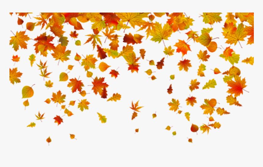 Detail Fall Leaves Background Png Nomer 5