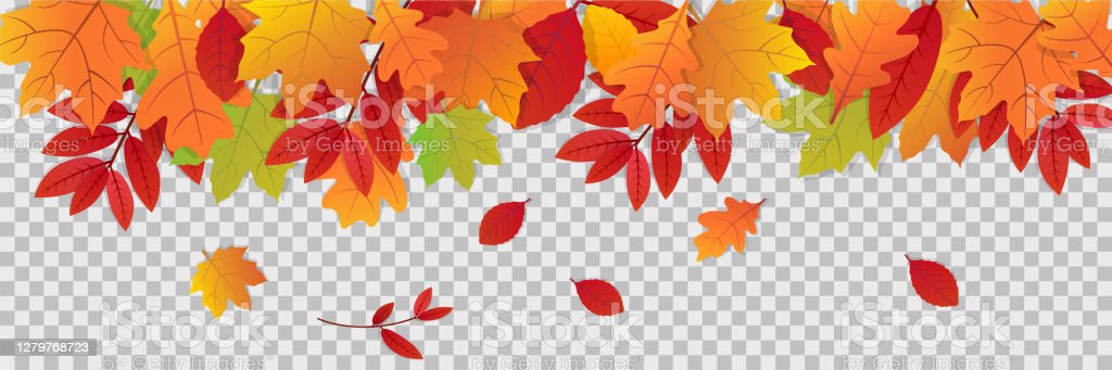 Detail Fall Leaves Banner Clip Art Nomer 10