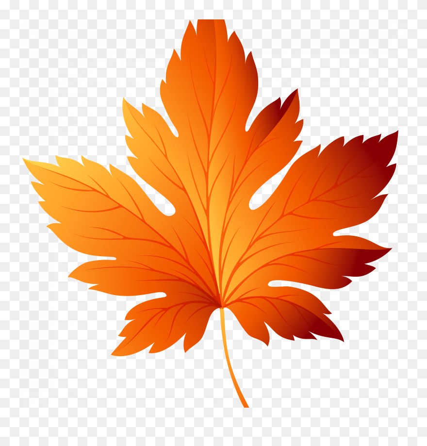 Detail Fall Leaves Clip Art Png Nomer 14