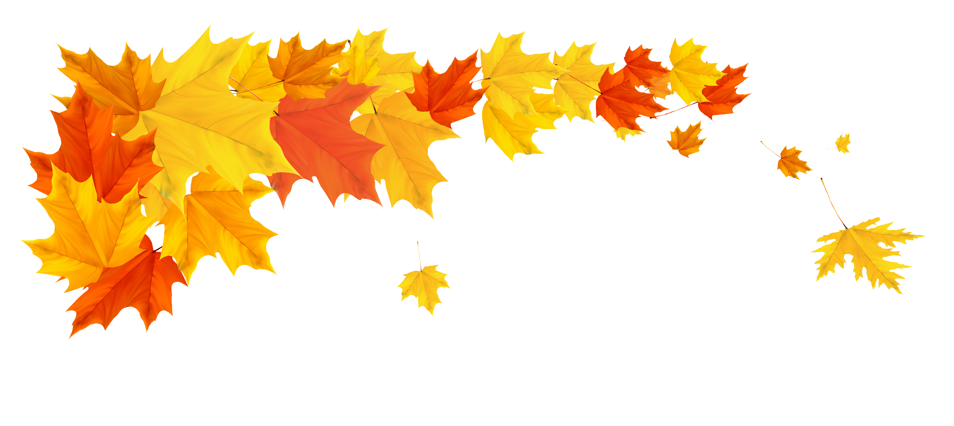 Detail Fall Leaves Clip Art Png Nomer 16